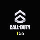  T55