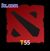  T55