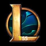  T55
