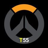  T55