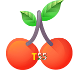  T55