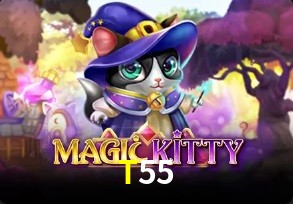  T55
