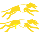  T55